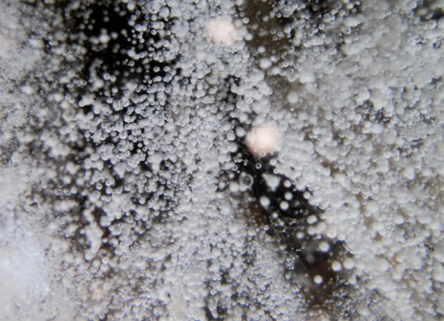 Eisluftblasen © Katrin Paul