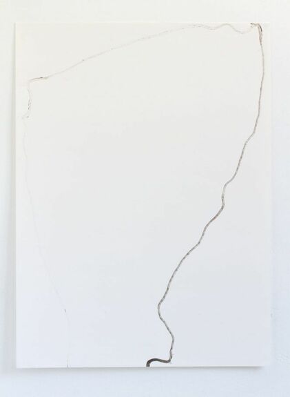 Bild, Schneckenweg, Schneckenspuren mit Tusche auf Papier, Schneckenschleim, Katrin Paul, © Katrin Paul